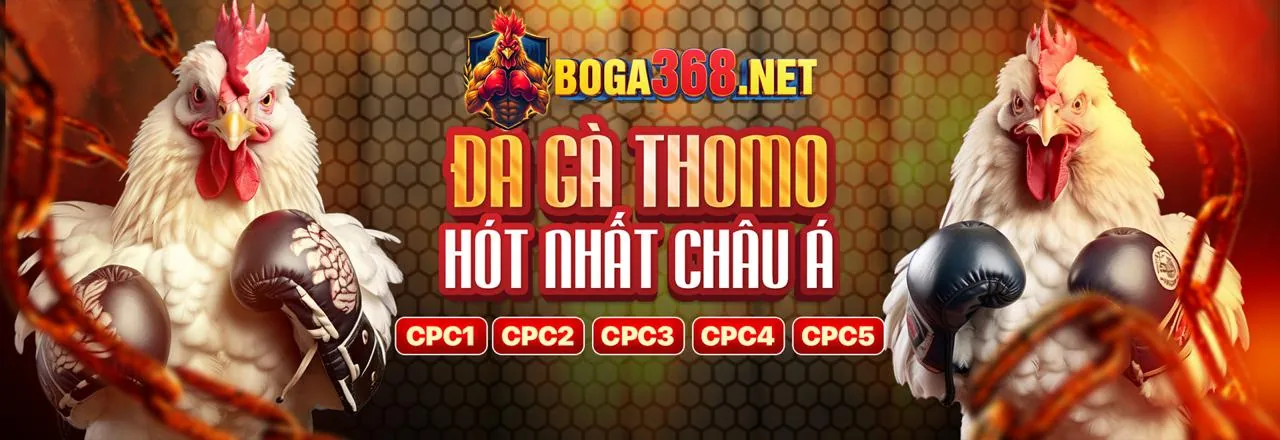 Công cụ tiếp thị cho đại lý mcw67 Casino